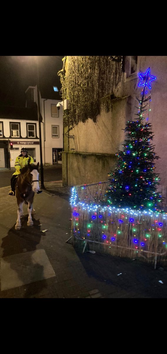 PSOSHorses's tweet photo. New boy Nairn was on his patrol tonight and found this beautiful Christmas Tree can anyone guess where Nairn is???? https://t.co/YC4h2vB23d