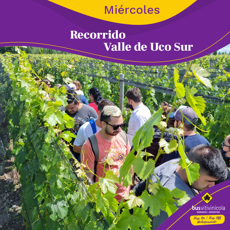 BusVitivinicola's tweet photo. Este #miércoles recorré con el Bus Vitivinícola Los Caminos del Vino de Valle de Uco Sur.
Visitaremos las bodegas @zuccardivalledeuco y @experienciagimenezriili
►Disfrutá un día #Bodegueando 🍇🍷
►WhatsApp 📲+54 9 261 2 63-9439 https://t.co/sXL43lzXr1