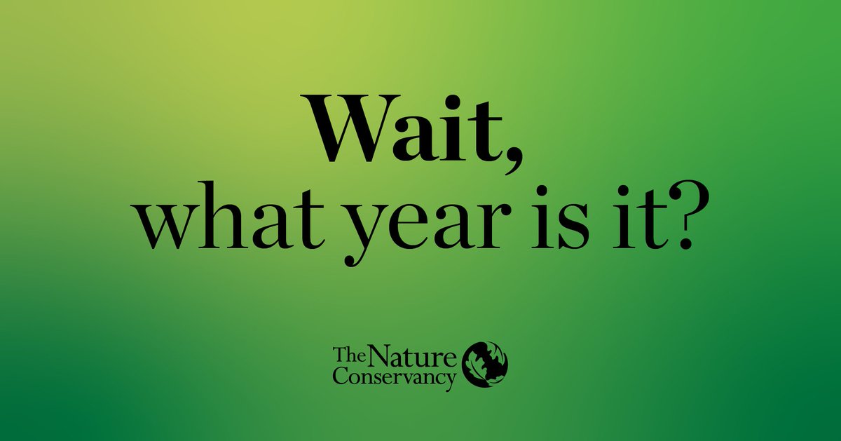 nature_org's tweet photo. Did 2021 feel like a blur to anyone else? We’re sorting through it and reflecting on 5 positive trends for the planet: https://t.co/rLIX7CPFBl https://t.co/rgKAYr2LvB