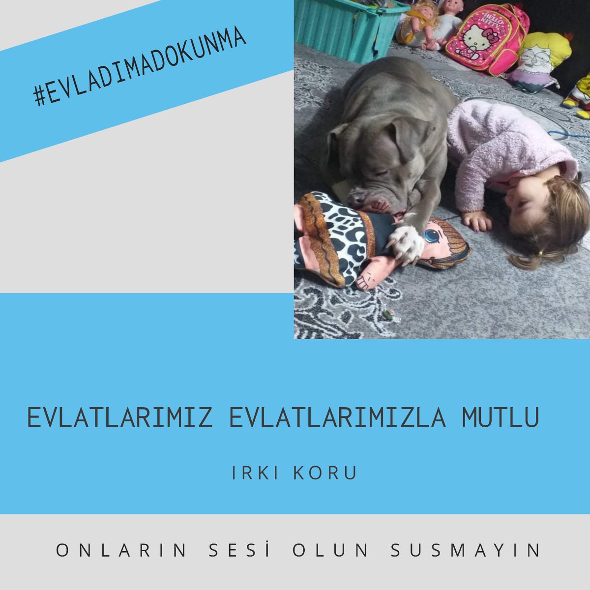 Gangmasterbully's tweet photo. @evladimadokunm #EVLADIMADOKUNMA https://t.co/X2ysALzxQN