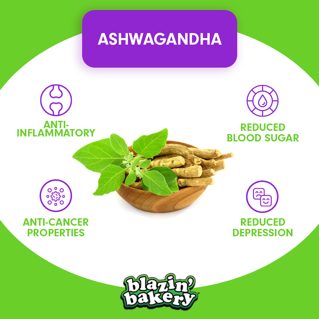 Ashwagandha. That is quite a word, right?

This word is actually the name of an evergreen plant that is used to help treat stress, fatigue, anxiety, pain, skin conditions, diabetes, arthritis, and epilepsy.

Learn more:  bit.ly/32YBAB6?utm_co…