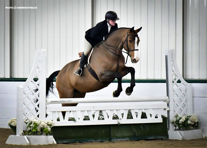 First 2022 results logged! Carmen wins the hack &amp; takes champion in the Non-Thoroughbred Hunters at Ledges Winter Classic #weloveledges 

Fresh photo from <a href="/AndrewRyback/">Andrew Ryback Photography</a> &amp; fantastic jr/am mare available from Autumn Road Farm outside Chicago >> hntjmp.be/carmen