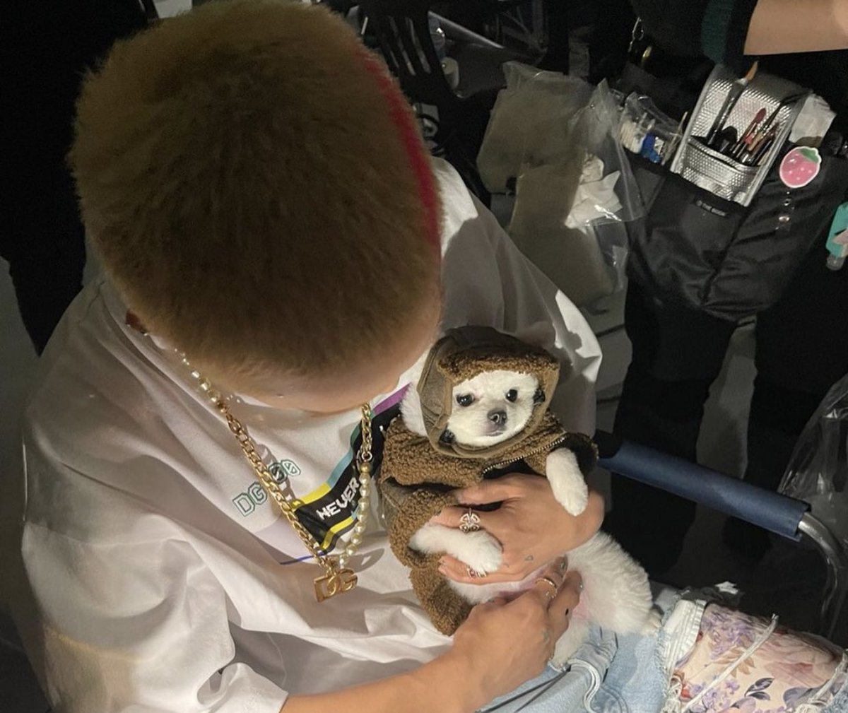 Nigdy nie widziałem piękniejszego zdjęcia.