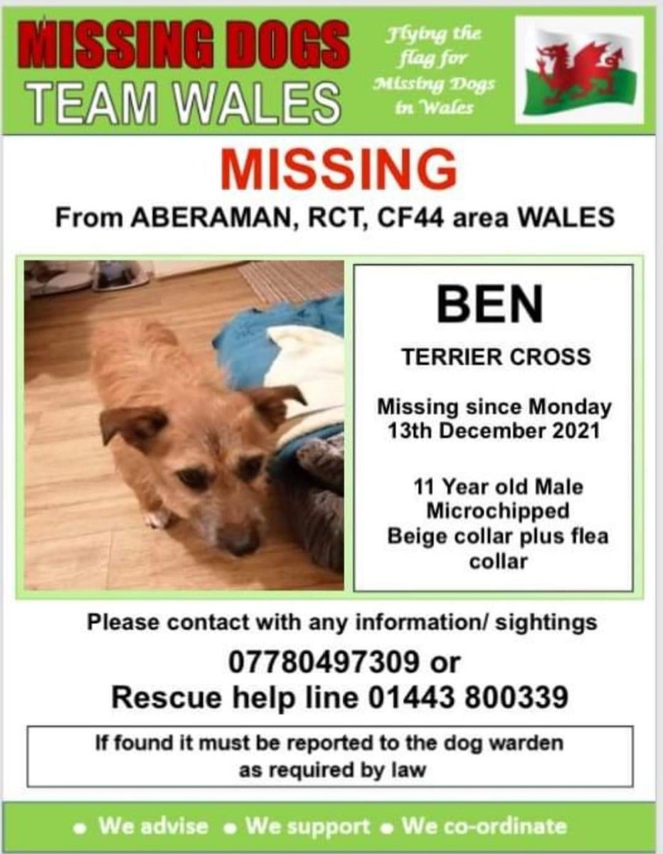 rosiedoc666's tweet image. ‼️SIGHTINGS NEEDED PLEASE ‼️

BEN 11YRS OLD IS A FOSTER IN  RESCUE ..MISSING #ABERAMAN AREA #RCT #CF44  WALES ‼️
 SINCE MONDAY 13TH DEC 21
Please report any sightings to the numbers on this poster ⬇️⬇️

facebook.com/groups/1919091…

@juliagarland73 @bs2510 @ruthwill64 @gelert01