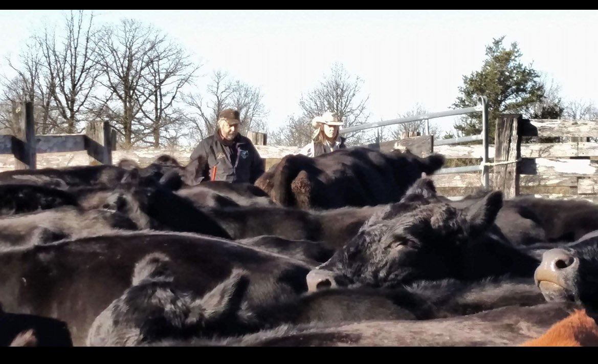 AGofTheWorld's tweet image. Dad would always correct me and say, “We don’t chase cows. We handle them.” 

I would probably roll my eyes, but it sunk in. Be thoughtful, efficient, and be quietly assertive. Don’t hoot and holler &amp;amp; draw unnecessary attention. 

This concept is so applicable to life, too.