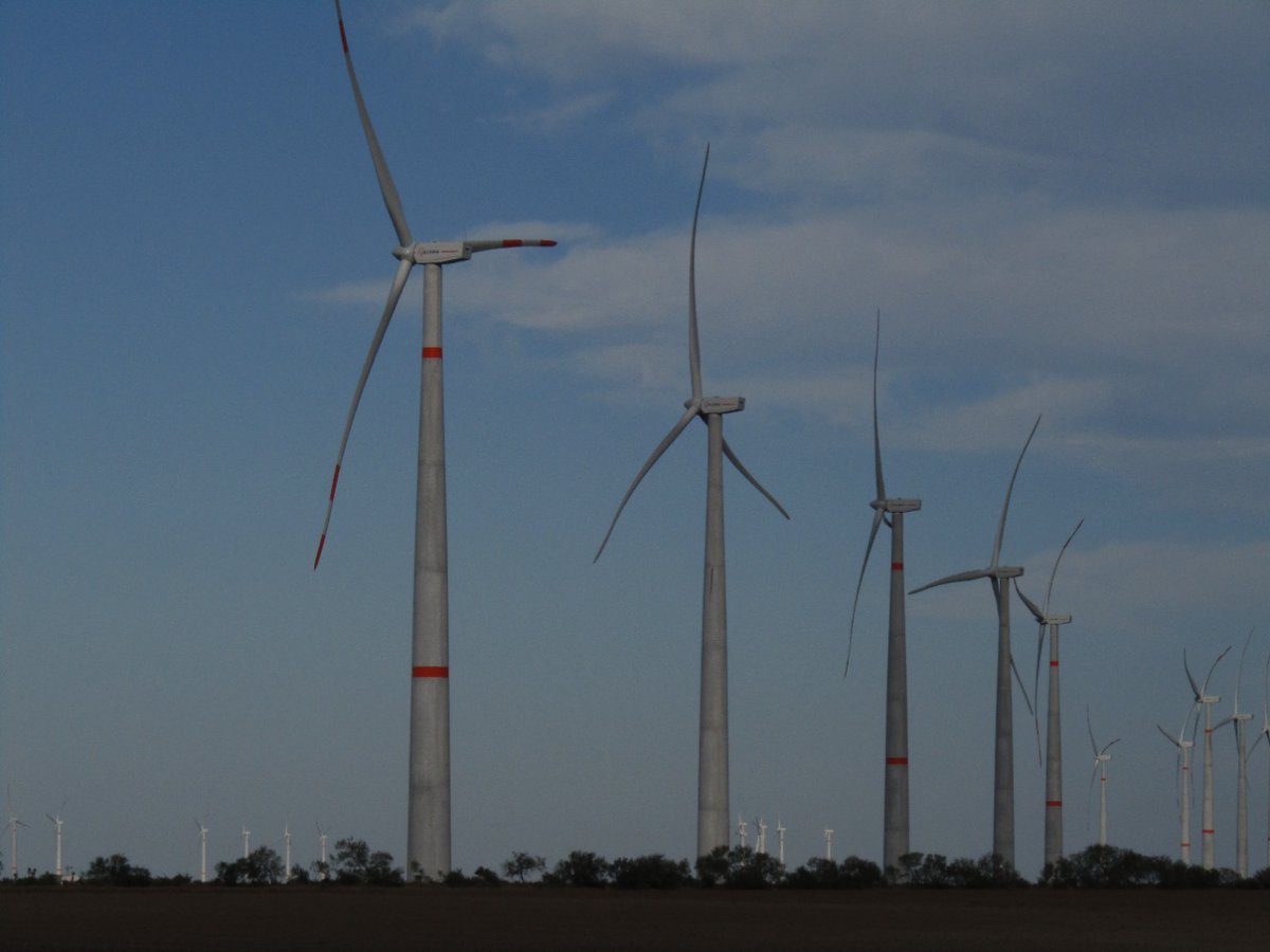 Seduma Tamaulipas (@sedumatam) on Twitter photo Para reducir la emisión de Gases de Efecto Invernadero, contribuir a la mitigación del #CambioClimático y mejorar el medio ambiente, el <a href="/gobtam/">Gobierno Tamaulipas</a> impulsa las energías limpias y renovables, lo que redunda en una mejor calidad de vida de las actuales y futuras generaciones. Para reducir la emisión de Gases de Efecto Invernadero, contribuir a la mitigación del #CambioClimático y mejorar el medio ambiente, el <a href="/gobtam/">Gobierno Tamaulipas</a> impulsa las energías limpias y renovables, lo que redunda en una mejor calidad de vida de las actuales y futuras generaciones.