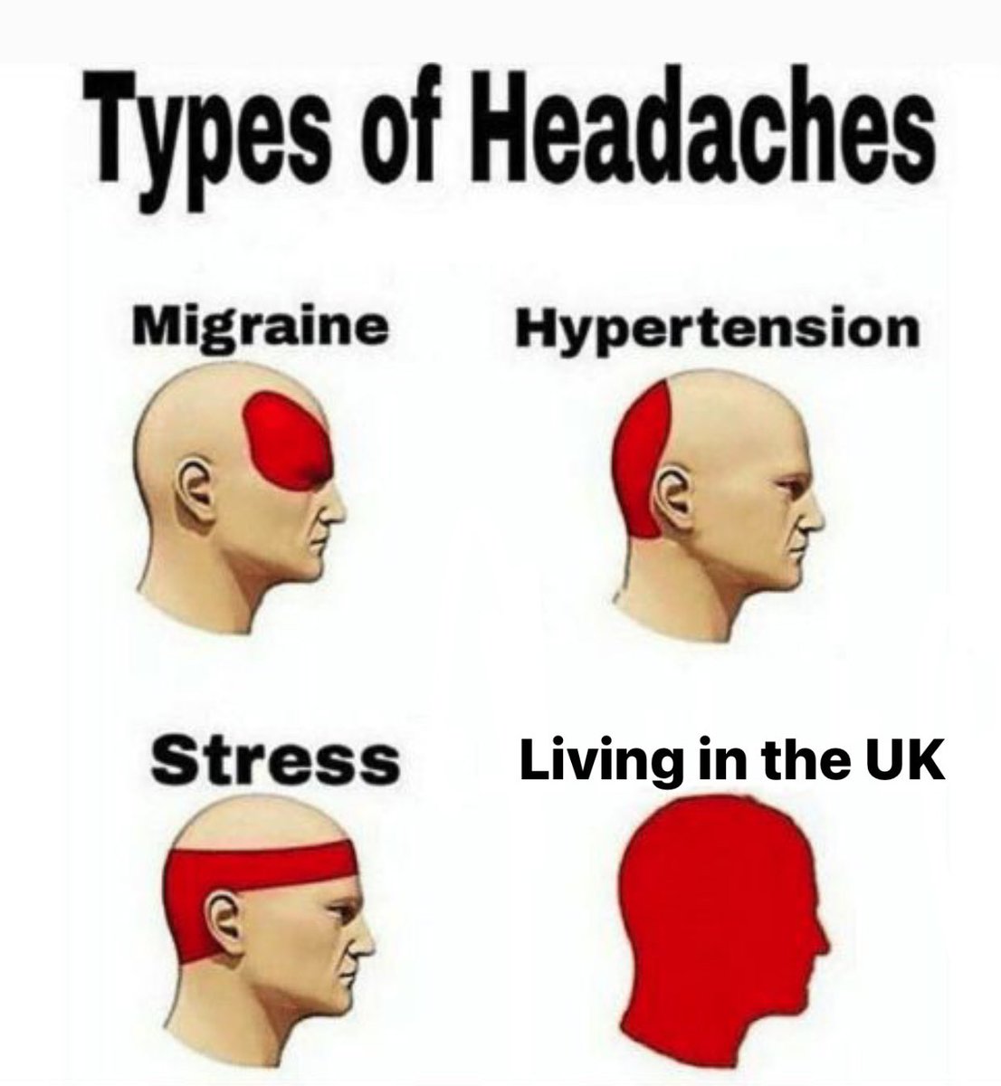 Adam Driver Chart.PR tweet media