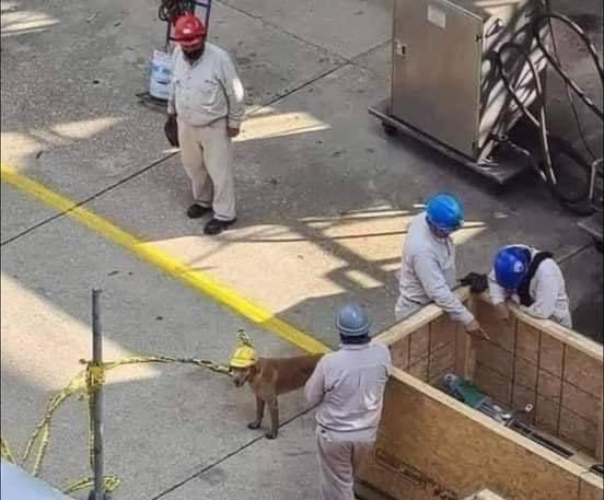 Nunca renuncies a tus sueños.