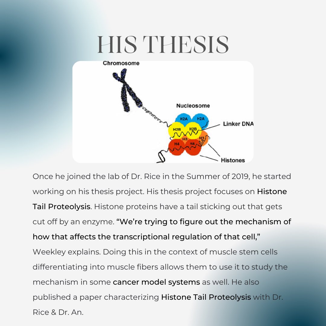 USC PIBBS tweet media