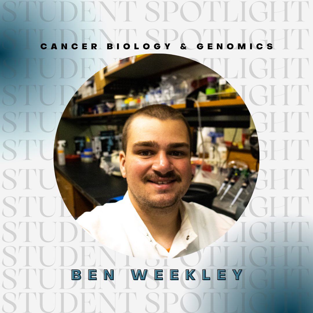 USC PIBBS tweet media