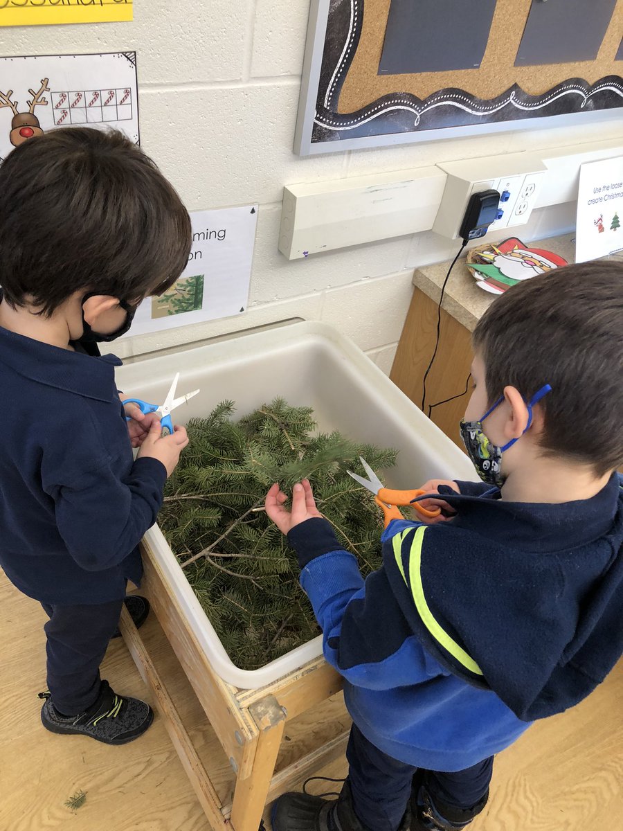 The tree trimming station 🌲✂️ #hcdsbk <a href="/HolyRosaryM/">Holy Rosary, Milton</a>