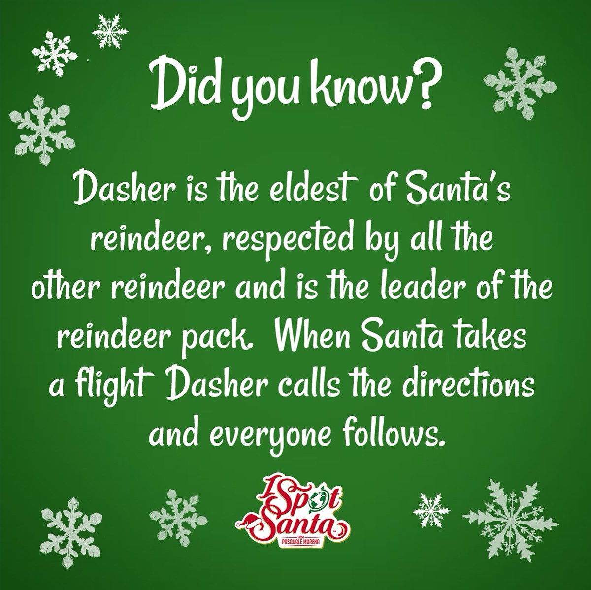 iSpotSanta's tweet photo. Did you know?

Dasher is the eldest of Santa’s reindeer, respected by all the other reindeer and is the leader of the reindeer pack.

#christmasfacts #didyouknow #dyk #facts #christmas #ispotsanta #holiday https://t.co/ZB5pVbmxQW
