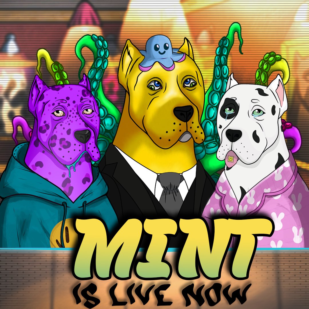 The Dogo NFT (@dogo_nft) | Twitter