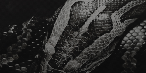 ㅤ𝑇𝘩𝑒𝑦 𝑎𝑠𝑘 𝑚𝑒 𝑤𝘩𝑦 𝐼'𝑚 𝑠𝑜 𝒉𝒐𝒕, '𝑐𝑎𝑢𝑠𝑒 𝐼'𝑚 𝑰𝒕𝒂𝒍𝒊𝒂𝒏𝒐.