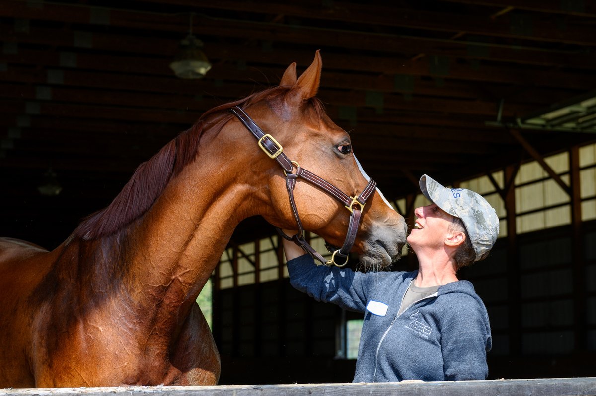 No words needed #NationalDayOfTheHorse