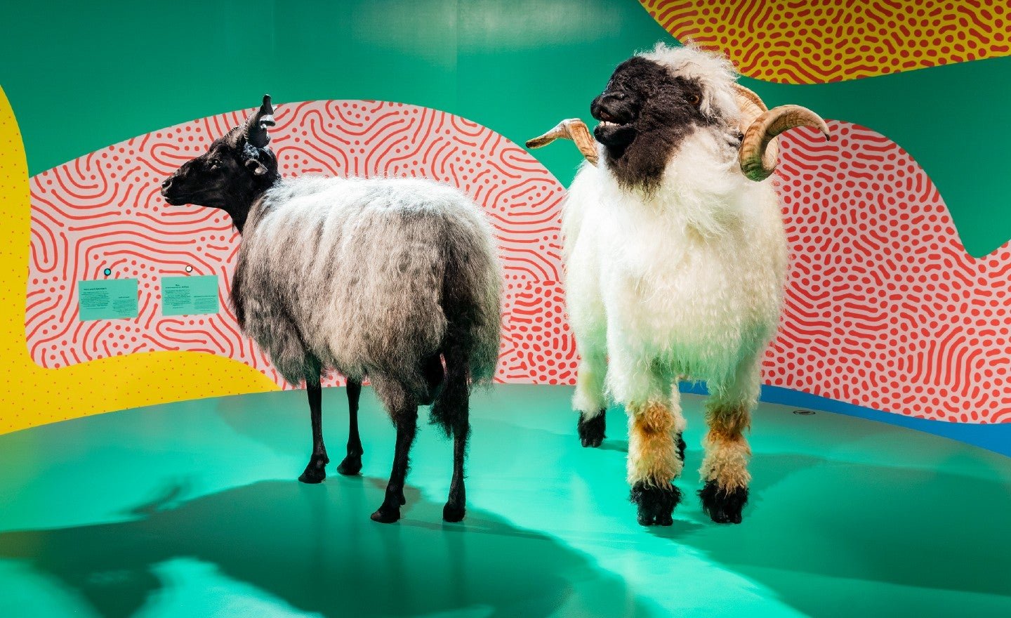 The Hill on Twitter: 