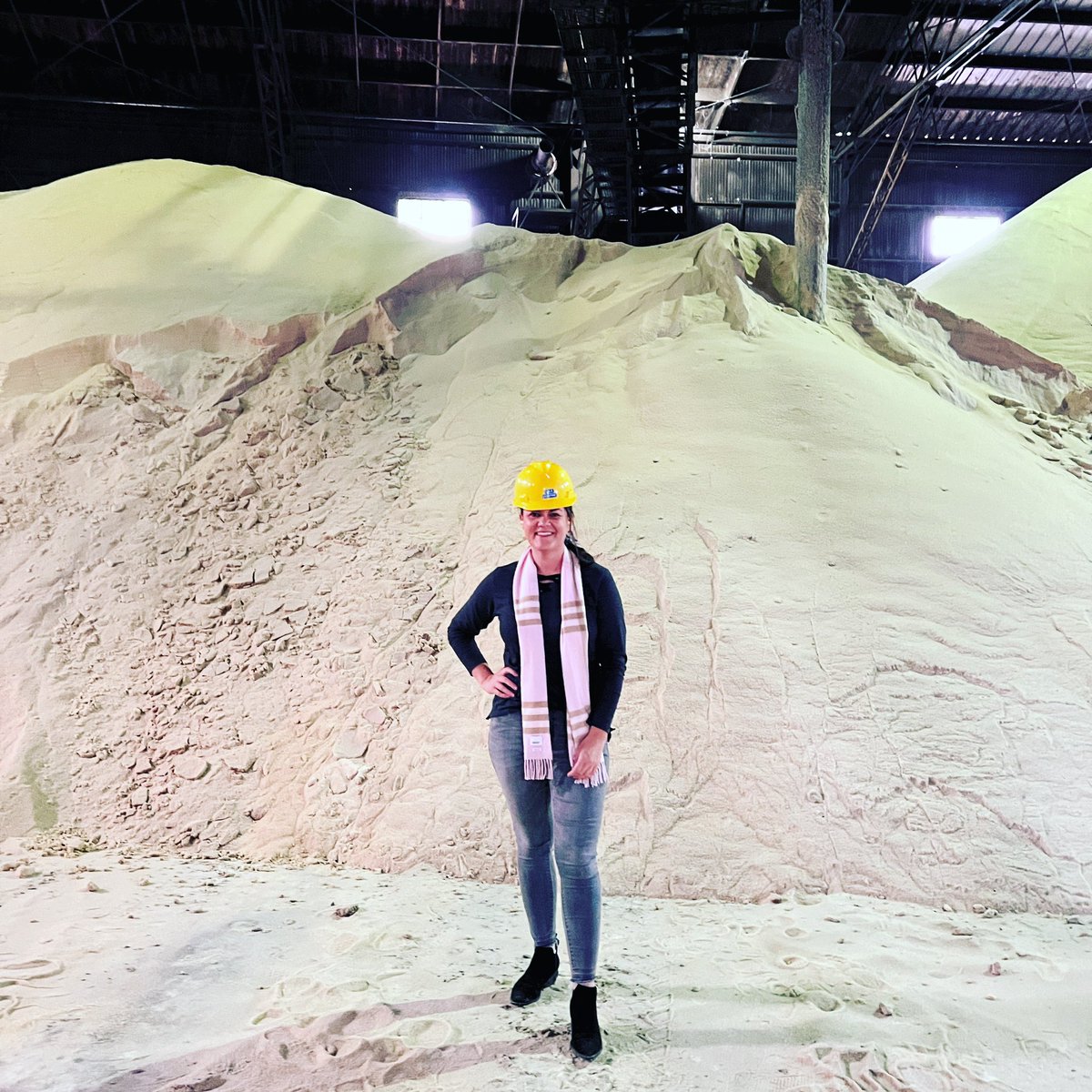 thefarmbabe's tweet photo. I’m standing in a room full of 4 MILLION pounds of sugar!
Its not yet food grade-stored here & will go off to a refinery for further processing. This place gathers cane stalks from farmers & begins processing it into #realsugar
Thanks @moretosugar for the #farmtotabletour! https://t.co/CN36eyJTDj