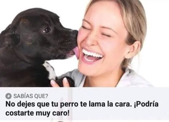 TuiterosOk's tweet photo. No dejes que tu perro te lama la cara, ¡podría costarte muy caro! 🐶😱 https://t.co/Srx2s74uAa