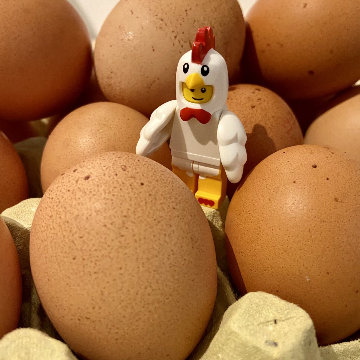 Checking on the babies. 🐔🧐🥚 Mirando cómo están los bebés.
#rebuildtheworld #legochicken #legotime #legominifigures #legoplay #legofun #minifigureslife #alebricks #lego #afol #tfol #afolcommunity #iloveminifigures #legofeature #legostagram #toy_photography <a href="/LEGO_Group/">LEGO</a>