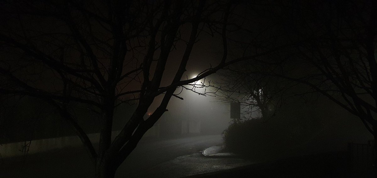 PaulFurlong1079's tweet photo. The fog takes over and makes it look like a scene from a movie just waiting on someone to pop out 🤣 #photography #thefog #homepic
#ColdOutside #nightphotography #home #trees #winter #outside https://t.co/jvaHo429le