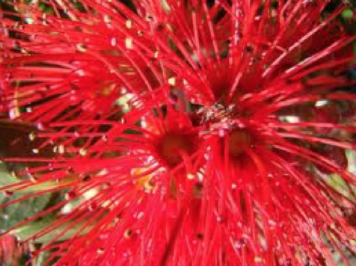 Greetings of the Season! Announcing our 2022 Facilitation Courses - mailchi.mp/dac5acd8c502/g…