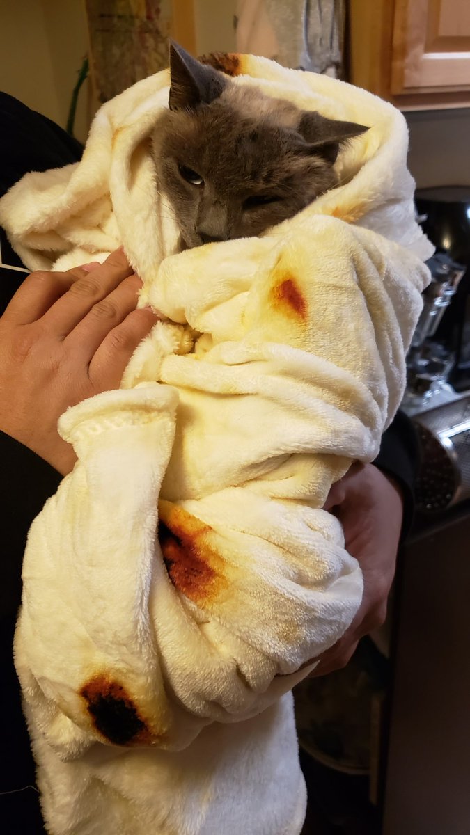 LovelySundaes's tweet photo. Wrapped our cat in a burrito blanket and he started to fall asleep. #cat https://t.co/5bNjcAVHlj
