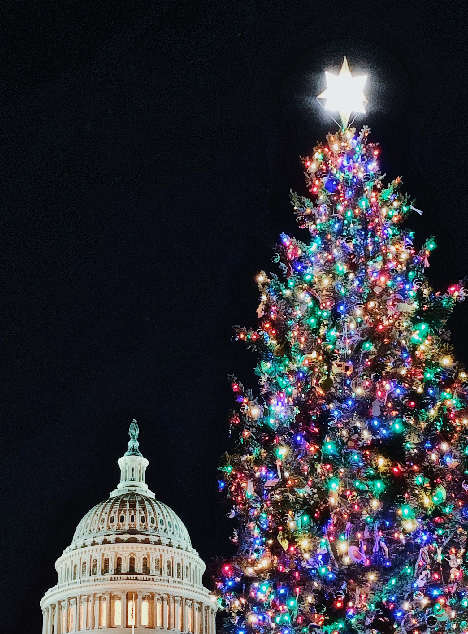 Michigan Capitol Christmas Tree 2022 U.s. Capitol Christmas Tree (@Uscapitoltree) / Twitter