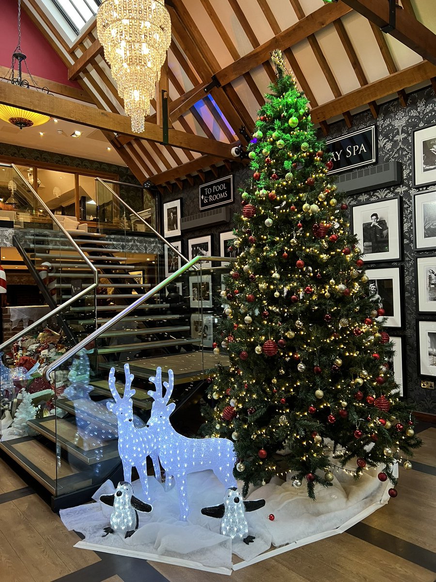 ロンドンクリスマス2

リゾートホテルのロビーがイギリスのクリスマスっぽくて盛り上がる🎅🎄

#OldThornsHotel #ロンドンクリスマス
