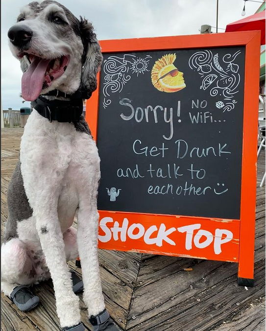 Bevz Tech tweet media