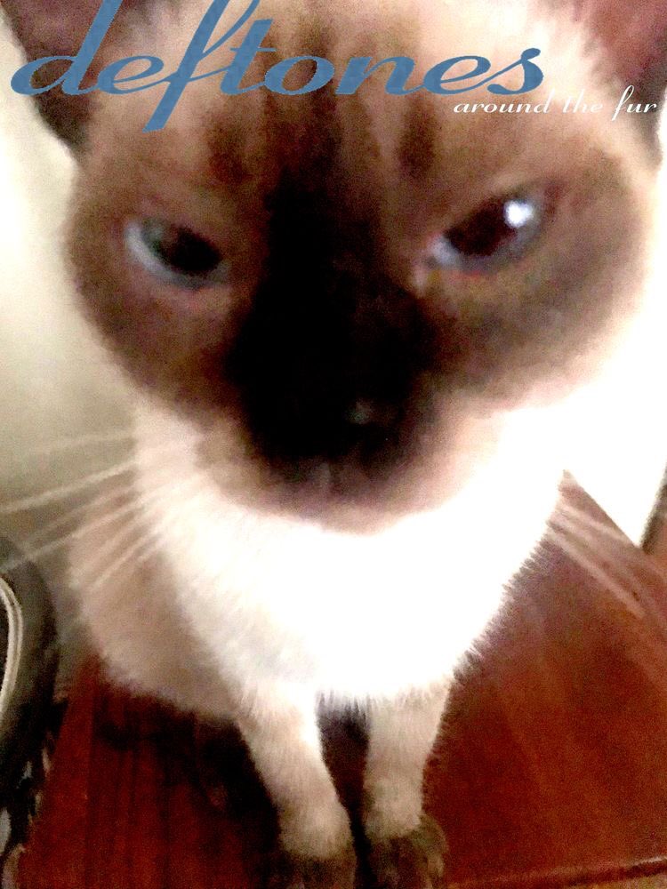 eyeswitoutaface's tweet image. 