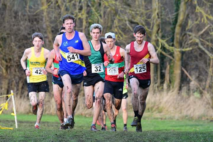 Harry Holmes tweet media