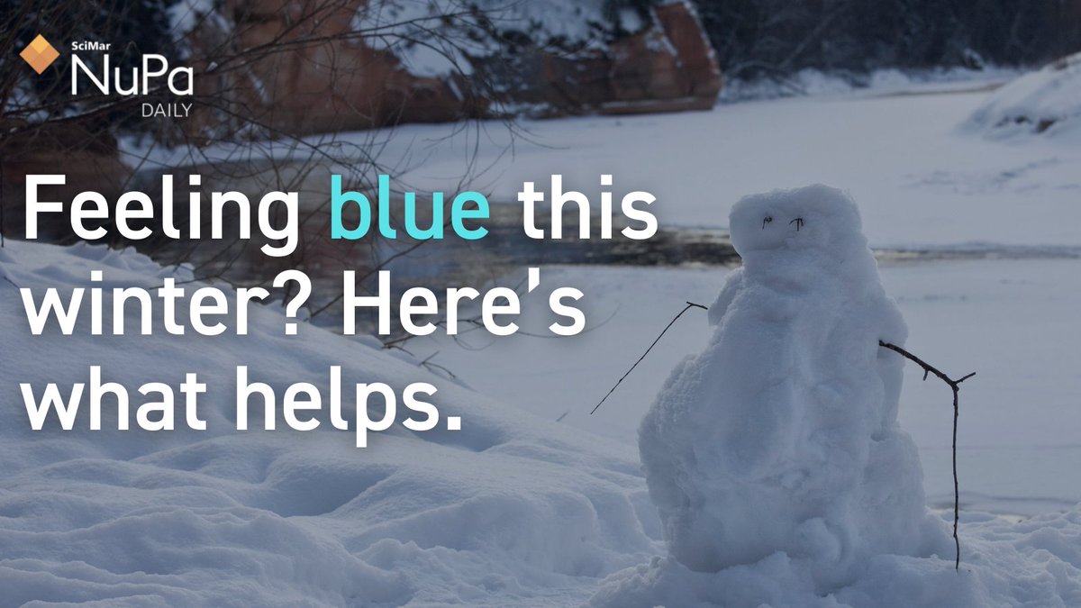 NuPaDaily's tweet photo. Longer, colder, darker nights leave 1/5th of Americans feeling blue. What cheers you up during the winter months? In our latest blog post, we talk about how hobbies, exercise, sunlight, foods, and supplements can help boost your mood. Tap our bio link to keep reading. https://t.co/1cyzPKdmRq