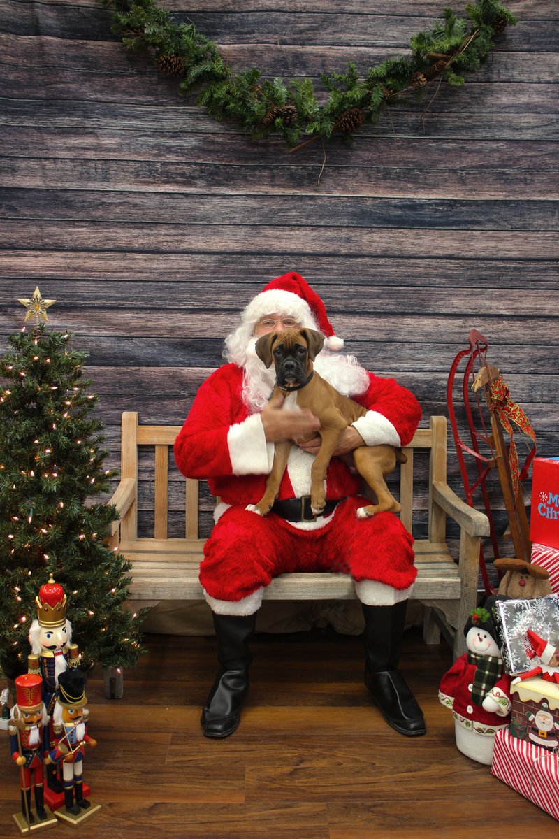graduationbash's tweet photo. Thank you to the folks that attended our events this weekend: Casino Night &amp; Pet Photos with Santa. We had fun spending time with you and appreciate the support you gave to our 2022 senior class. Keep your eye on our social media for more fun events! Enjoy some puppy pics w/Santa https://t.co/qUIuNdsI3t