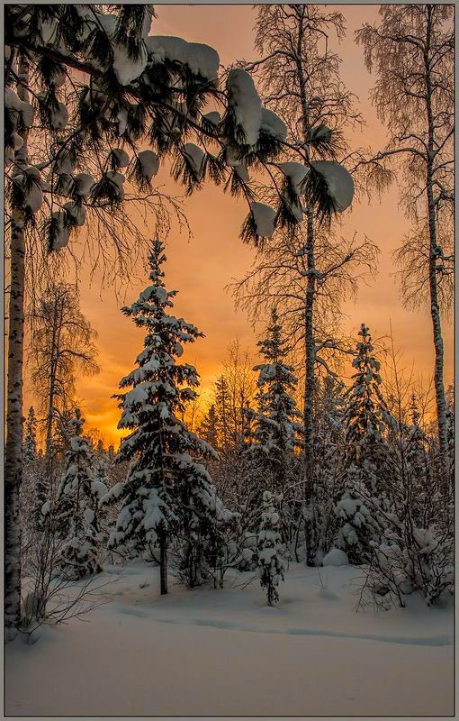 moraimauy's tweet photo. #GorgeousColor 🧡 https://t.co/0Qpt54l2Di
