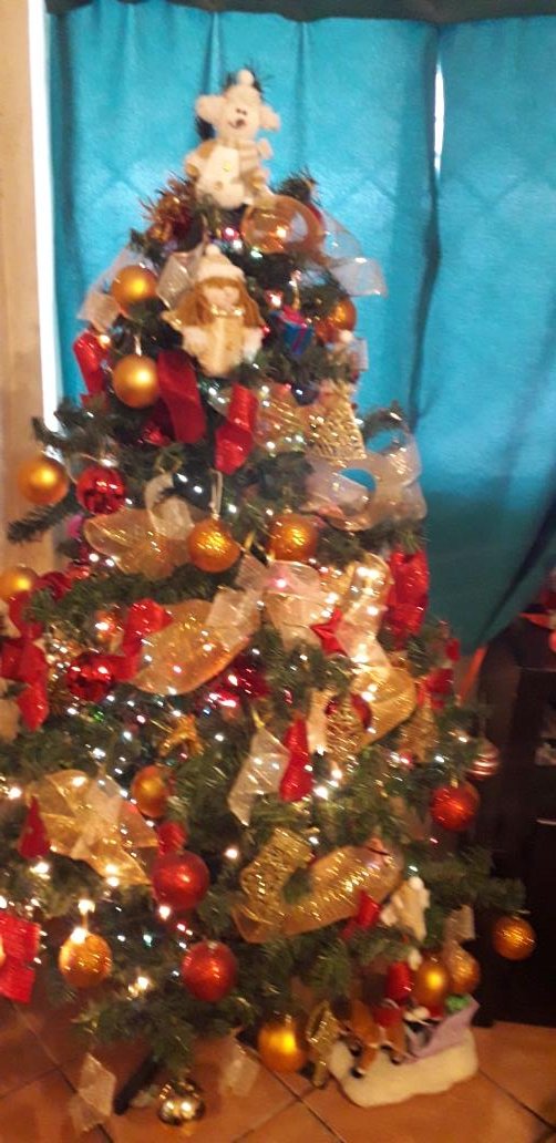 JorgeArmi2's tweet photo. A que bonito mi arbol https://t.co/0QJJ9PUyca