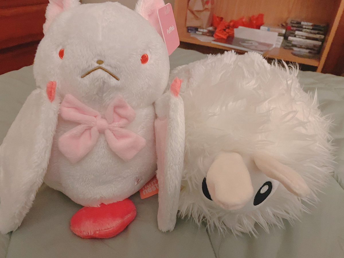 MoonlitSalem's tweet image. New cutie for my collection.

Totally not an impulse preorder btw

#FluffNest