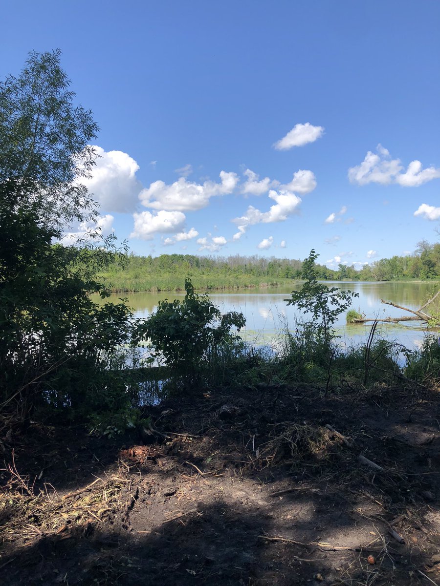 stopbwgbypass's tweet photo. #ICYMI - in July we did a walking tour of the Lower Landing with @FROGSofEG. Here are some of the photos from the area of the proposed #BradfordBypass route. https://t.co/wVTXVVkB5v