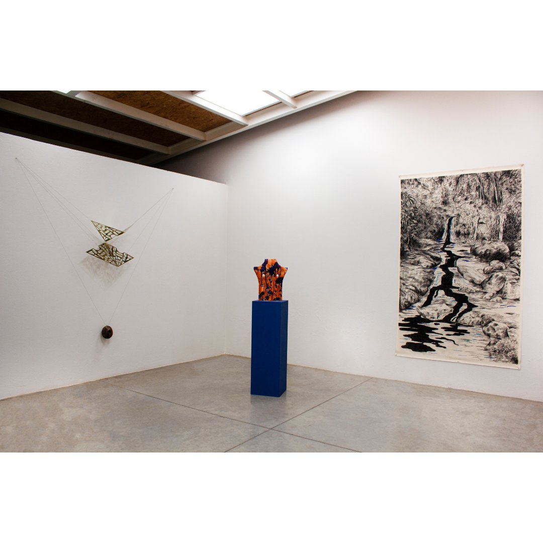 Instituto de visión tweet media