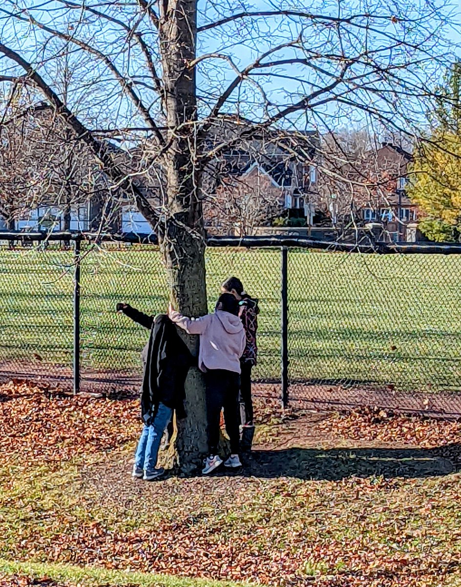 mrspclass's tweet photo. Perfect day for our photo challenge! @legacyYRDSB https://t.co/8Dd2NfNlD9
