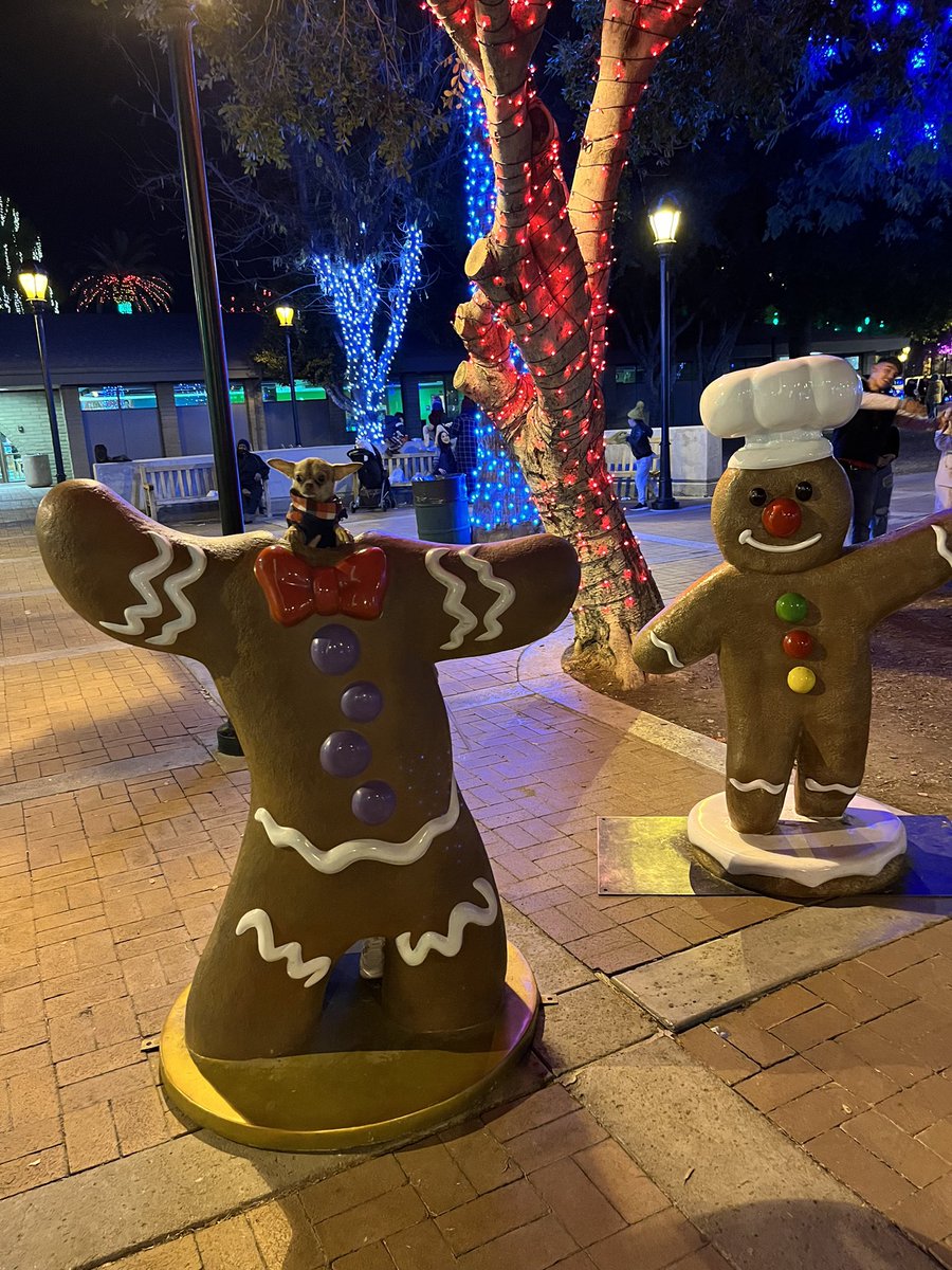 asianna92's tweet photo. But my baby living his best life ♥️💚🎄 https://t.co/5jh3qRqwc0