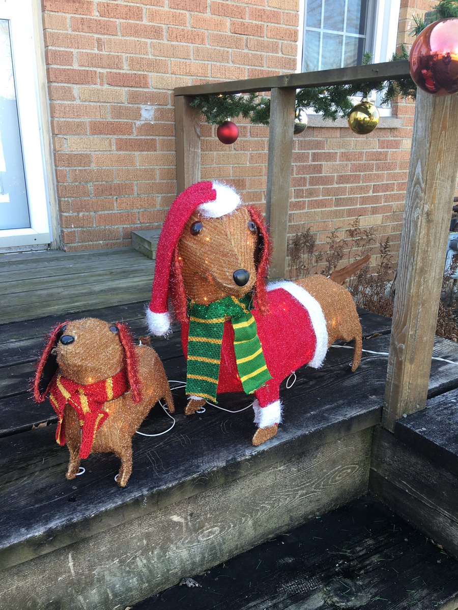 MarcS2's tweet photo. It’s starting to look like a “Wiener Wonderland!” #NeedsMore https://t.co/4fCFGnhtti