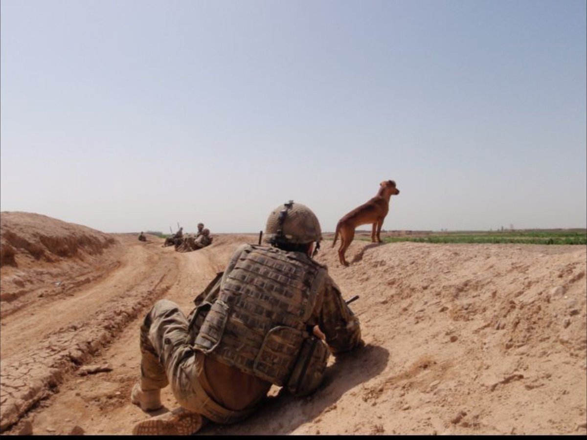 On #BBCBreakfast with <a href="/mrdanwalker/">Dan Walker</a> &amp; <a href="/sallynugent/">Sally Nugent</a>:
🗳 70+ Conservative MPs plan to vote against Covid Plan B
📲 New rules to protect people from online crimes like 'cyber flashing'
🐶 Peg, the stray dog who's being honoured for looking after a British Soldier in Afghanistan