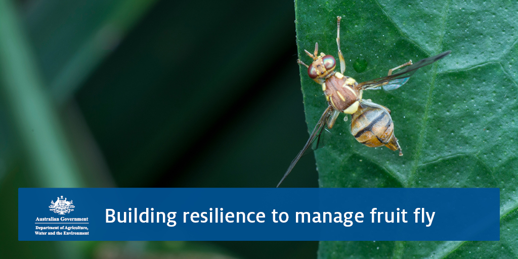 Department of Agriculture, Fisheries and Forestry tweet media