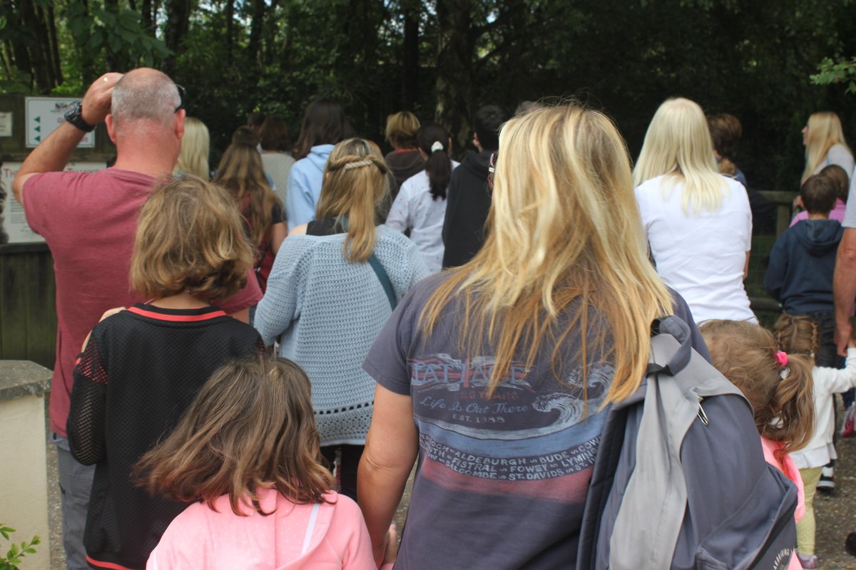 BlueSkyFoster's tweet photo. Today is #MonkeyDay! 🐵

Now would be a great time to revisit one of our participation events, as #FosterCarers and young people from our #Dorset hub visited @MWApeRescue!

Read more about one of our regular events here: https://t.co/evRBPDfwSo https://t.co/IGIapgkVEU
