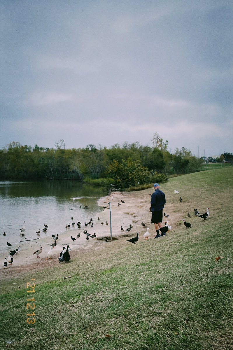 abeelulu's tweet photo. Hey did you know that feeding bread to ducks is harmful for the environment? Next time you feel like feeding ducks, opt for frozen peas instead of bread! #TIL #freethebread https://t.co/KgdodPSJC2