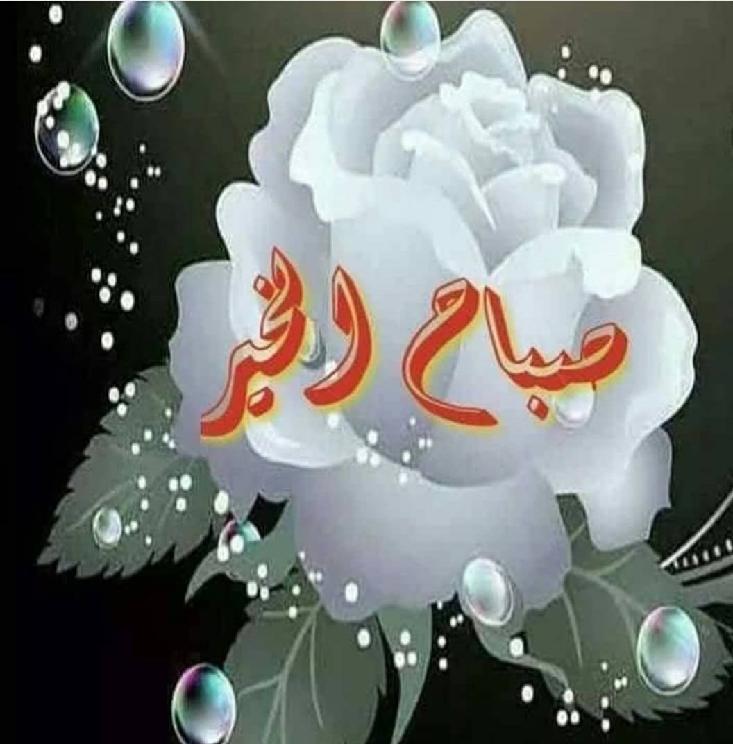صباح الخير
أو رجعت لكم بعد السفره