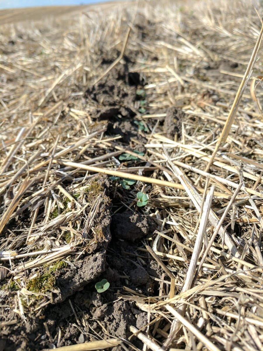 Over the past 30 years #glyphosate has enabled the transition from farmland being a carbon emitter to being a carbon sequesterer. Glyphosate use combined with #GMcrops is a major driver of increased soil carbon sequestration. Learn more: ow.ly/8PQz50Ha2oe