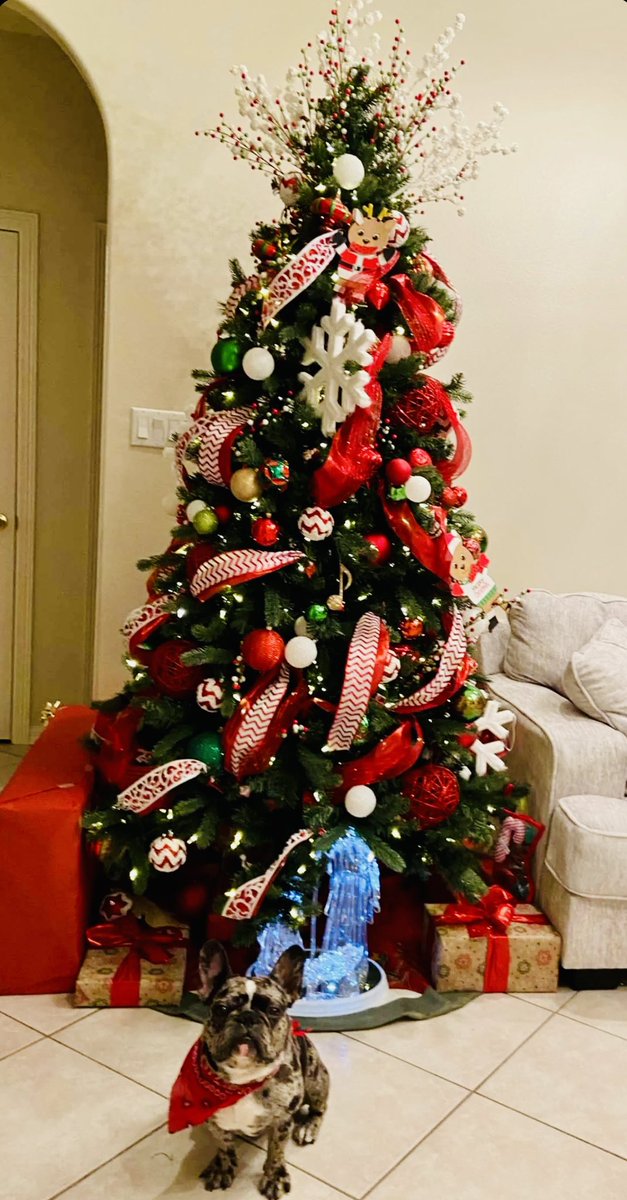Jesse24M's tweet image. The Christmas tree 🎄 👌🏽👌🏽 and Rex 🐶 #SheUnderstoodTheAssignment