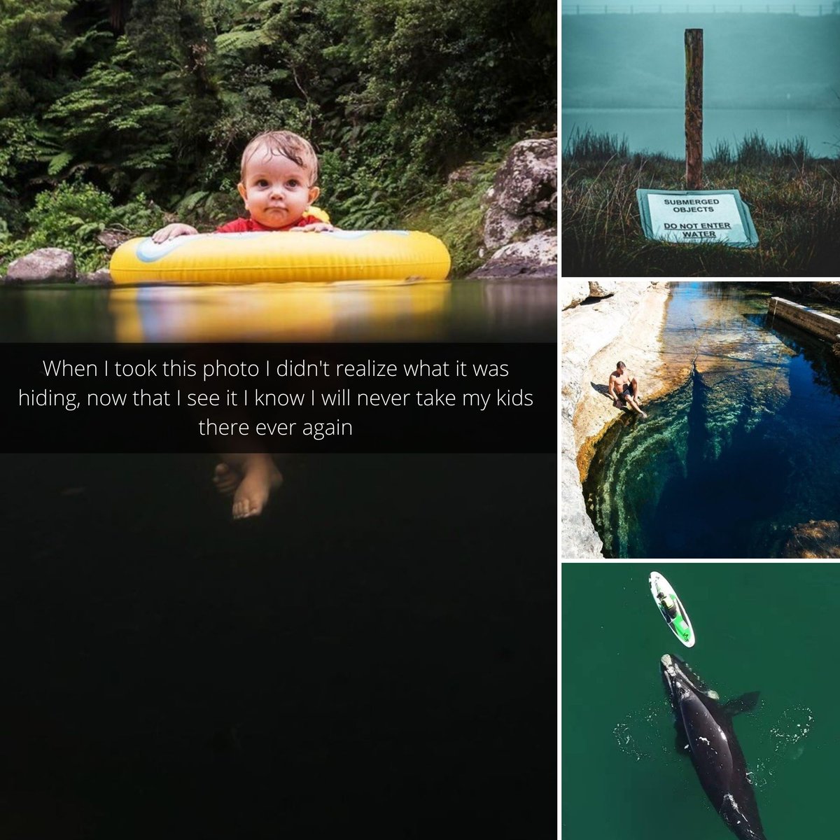TheRocketScien2's tweet photo. From the creatures underneath the water to the remains of human activity, here are some interesting photos of murky things seen underwater.  🤩👀