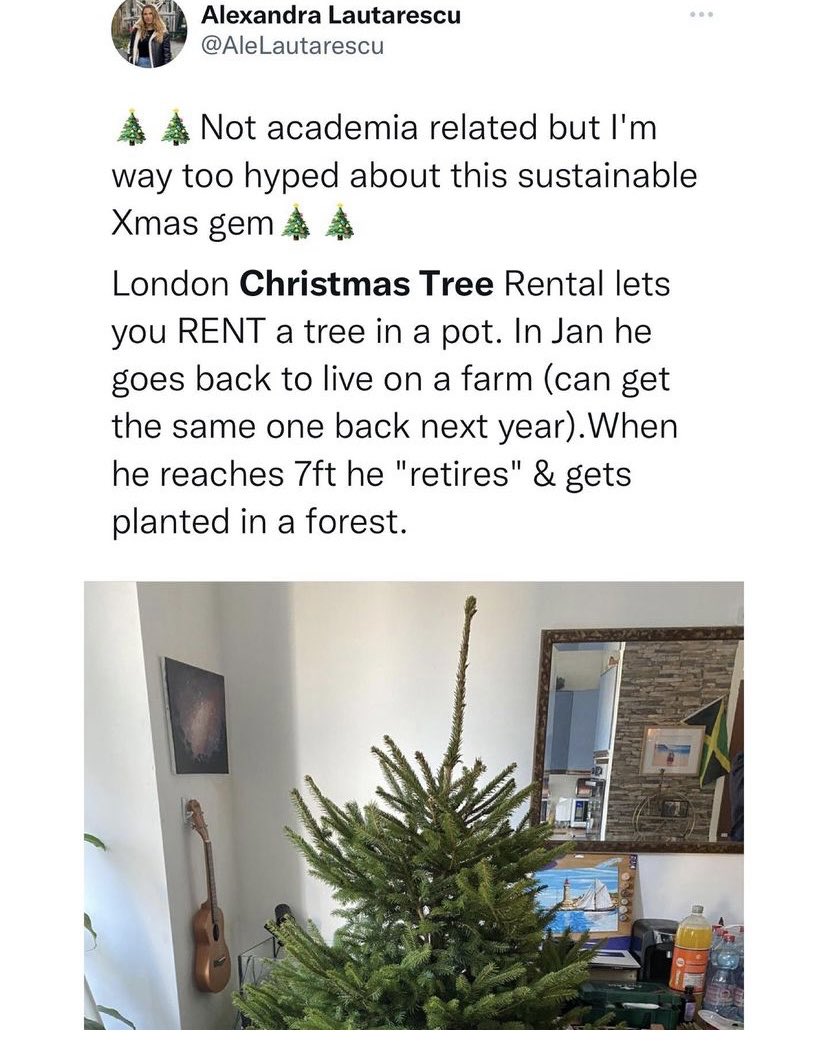 hilaurel's tweet photo. What a great idea! #Trees #nature #ChristmasTree #sustainable https://t.co/t4p9ojL71J